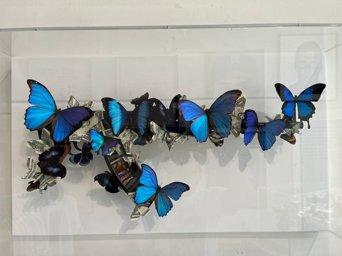 Spoils of War butterflies in dollar notes wall mounted
