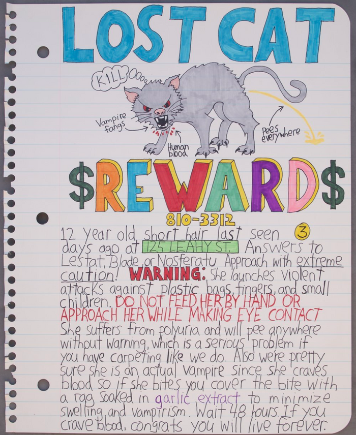 Lost Cat - Limited Edition Print