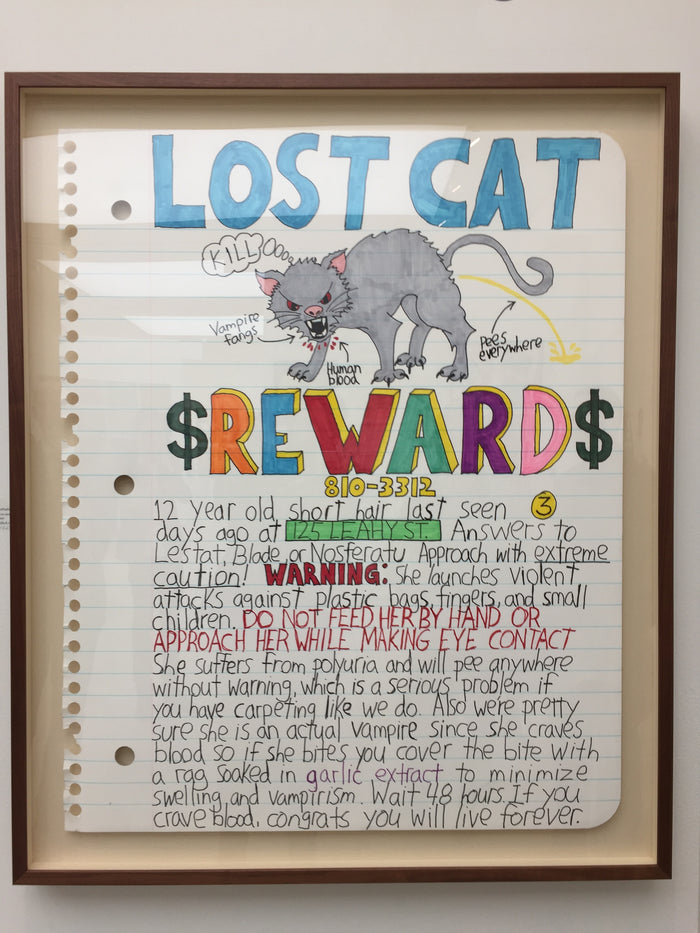 Lost cat reward
