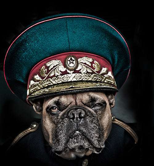 The General