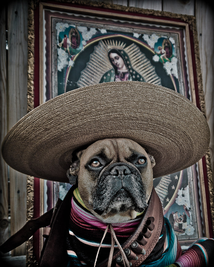 Viva El Mayor