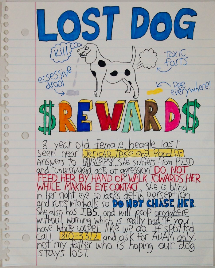 Lost Dog - Limited Edition Print